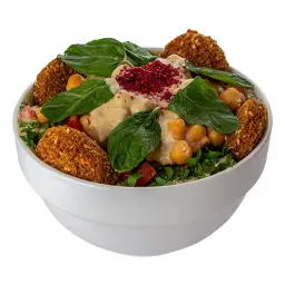 Falafel Salad